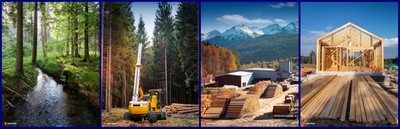 KI-Bildkollage-Wald-Harvester-Sägewerk-Holzhausbaustelle